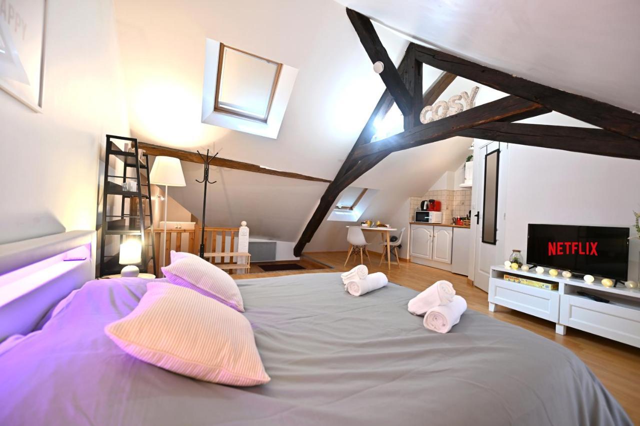 Le Cosy Du Tambour D'Argent Appartement Sens Buitenkant foto