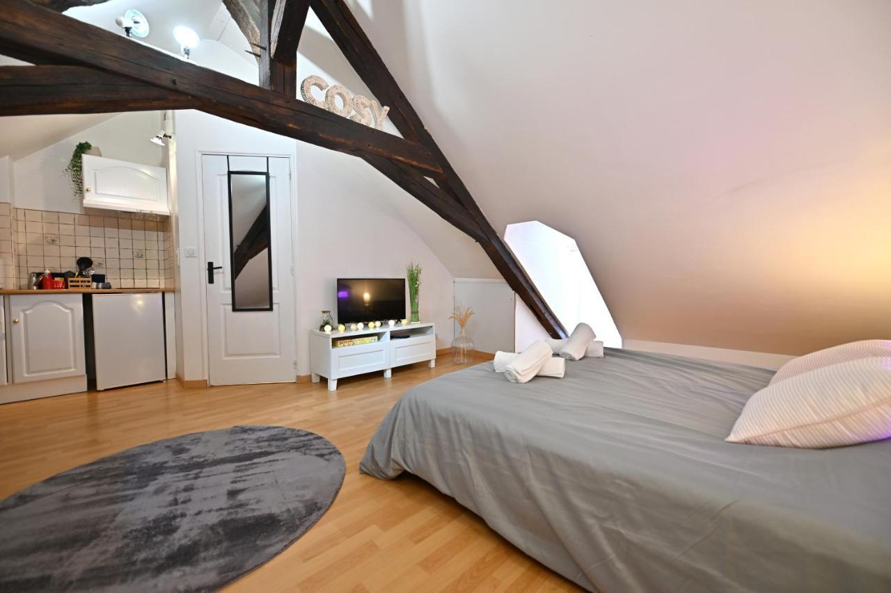 Le Cosy Du Tambour D'Argent Appartement Sens Buitenkant foto