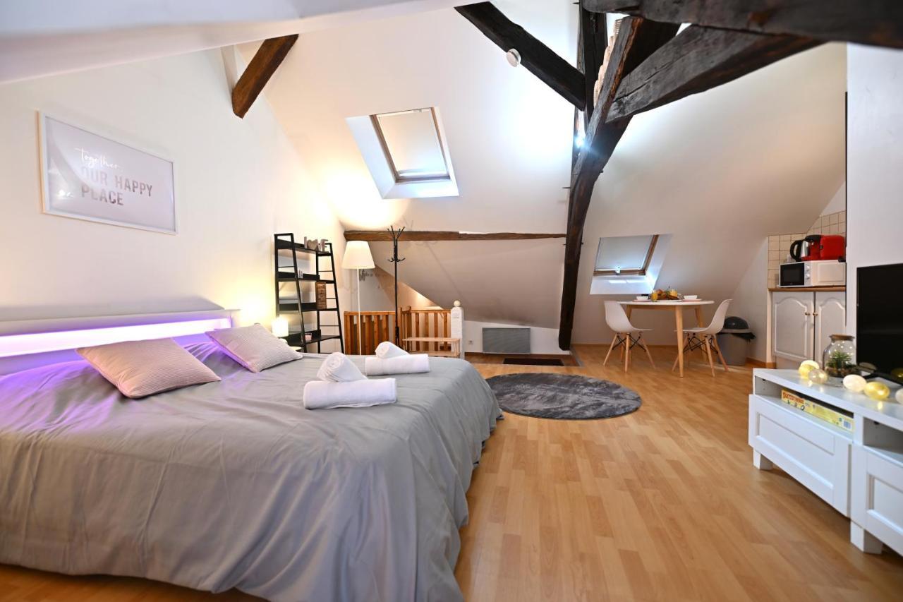 Le Cosy Du Tambour D'Argent Appartement Sens Buitenkant foto