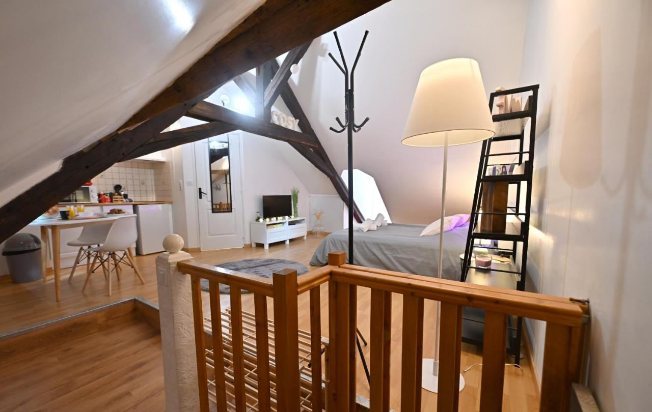 Le Cosy Du Tambour D'Argent Appartement Sens Buitenkant foto